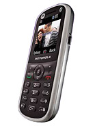 Motorola WX288 - Pictures